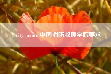 桓台中国消防救援学院要求
