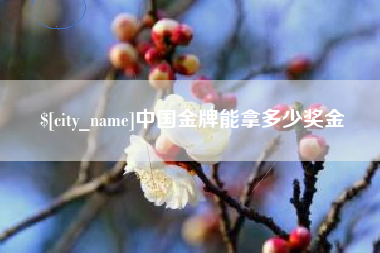 桓台中国金牌能拿多少奖金
