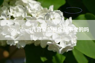 桓台九宫星位是定位不变的吗