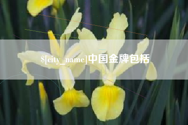 桓台中国金牌包括