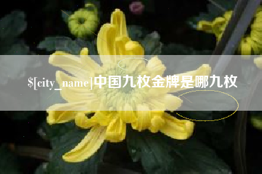 桓台中国九枚金牌是哪九枚