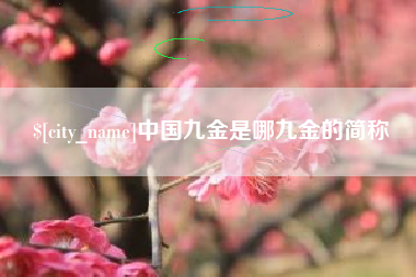 桓台中国九金是哪九金的简称