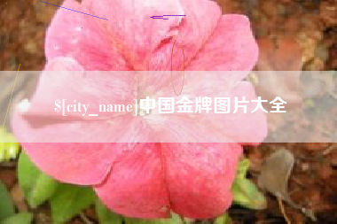 桓台中国金牌图片大全