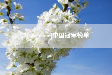 桓台中国冠军榜单