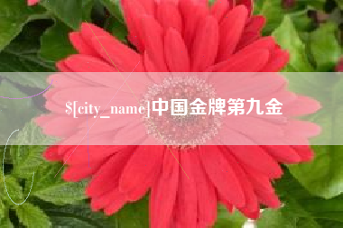 桓台中国金牌第九金