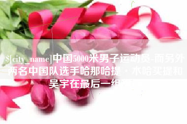 桓台中国5000米男子运动员-而另外两名中国队选手哈那哈提·木哈买提和吴宇在最后一组出场
