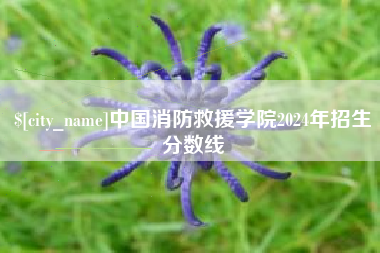 桓台中国消防救援学院2024年招生分数线