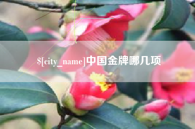 桓台中国金牌哪几项