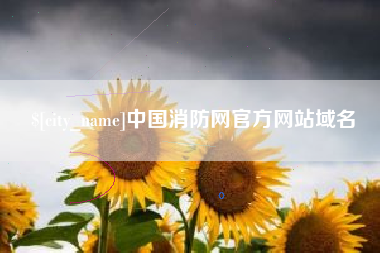 桓台中国消防网官方网站域名