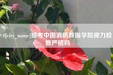 桓台报考中国消防救援学院视力检查严格吗