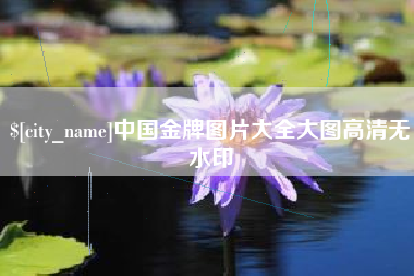 桓台中国金牌图片大全大图高清无水印