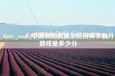 桓台中国消防救援学院河南录取分数线是多少分