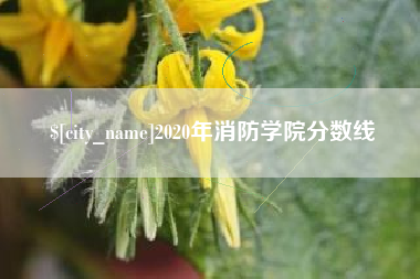 桓台2020年消防学院分数线