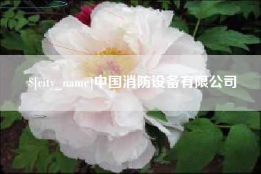 桓台中国消防设备有限公司
