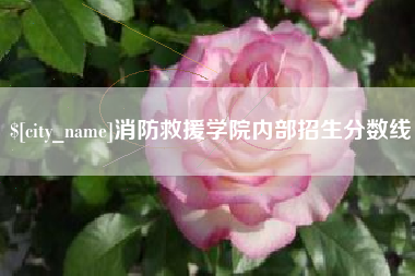 桓台消防救援学院内部招生分数线