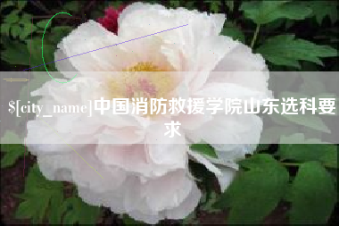 桓台中国消防救援学院山东选科要求