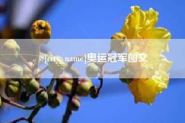 桓台奥运冠军图文