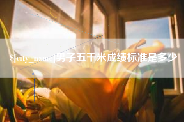 桓台男子五千米成绩标准是多少