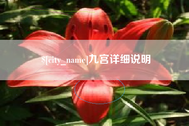 桓台九宫详细说明