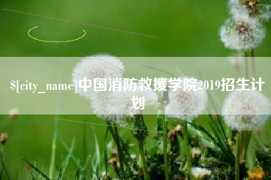 桓台中国消防救援学院2019招生计划