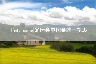 桓台冬运会中国金牌一览表