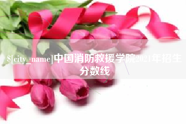 桓台中国消防救援学院2021年招生分数线