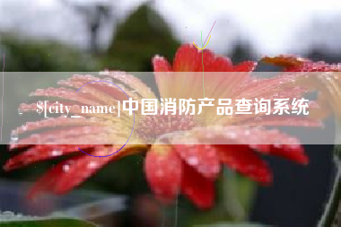桓台中国消防产品查询系统