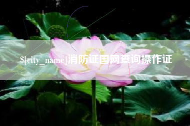 桓台消防证国网查询操作证