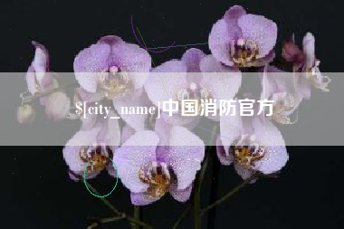 桓台中国消防官方