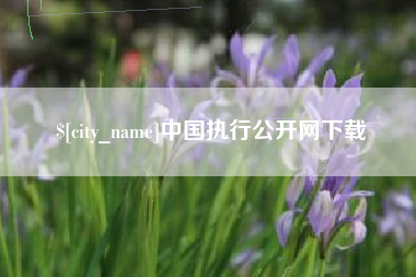 桓台中国执行公开网下载