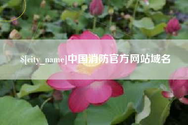 桓台中国消防官方网站域名