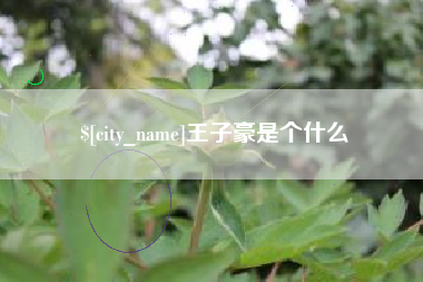 桓台王子豪是个什么