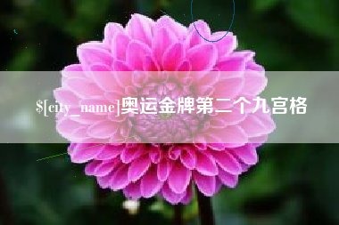 桓台奥运金牌第二个九宫格