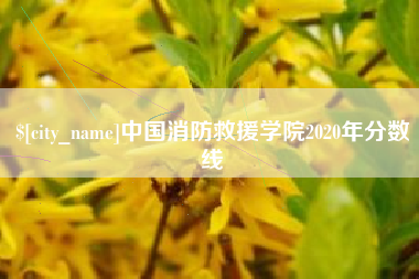 桓台中国消防救援学院2020年分数线