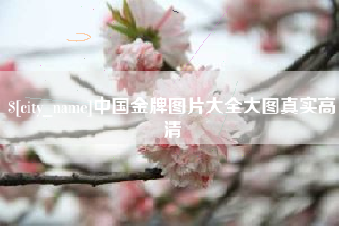 桓台中国金牌图片大全大图真实高清