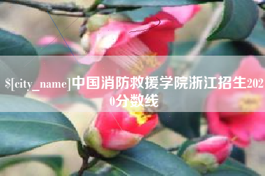 桓台中国消防救援学院浙江招生2020分数线