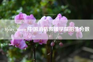 桓台中国消防救援学院招生分数