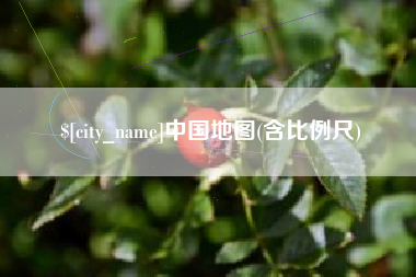 桓台中国地图(含比例尺)