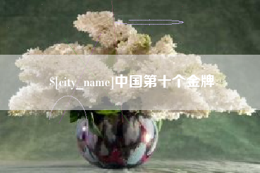 桓台中国第十个金牌