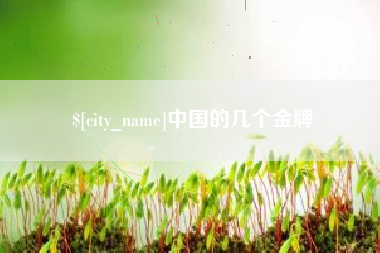 桓台中国的几个金牌