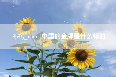 桓台中国的金牌是什么样的