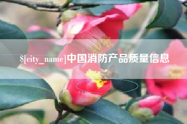 桓台中国消防产品质量信息