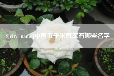 桓台中国五千米冠军有哪些名字