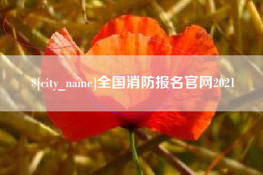 桓台全国消防报名官网2021