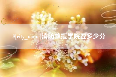 桓台消防救援学院要多少分