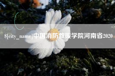 桓台中国消防救援学院河南省2020